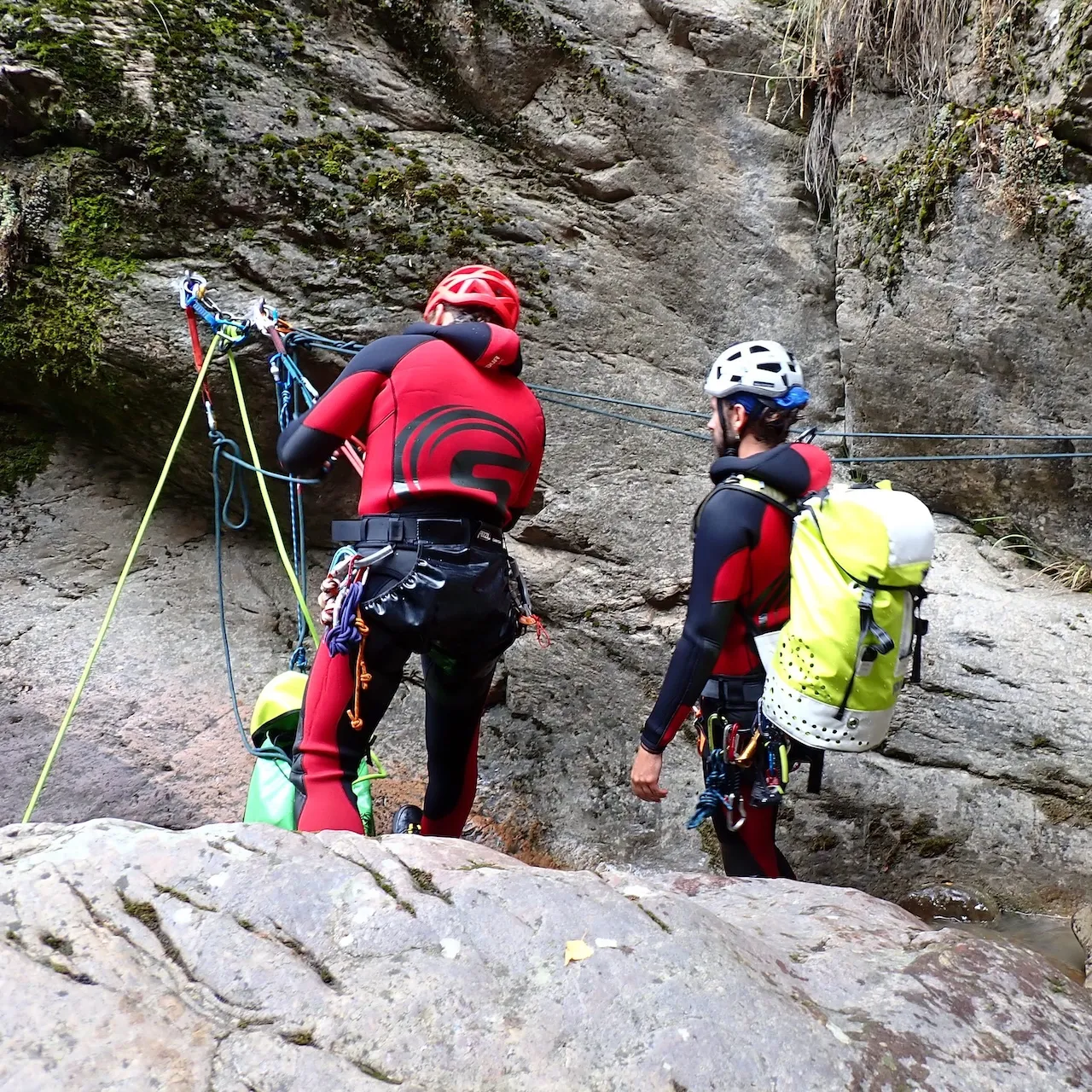 Cuidamos lo importante