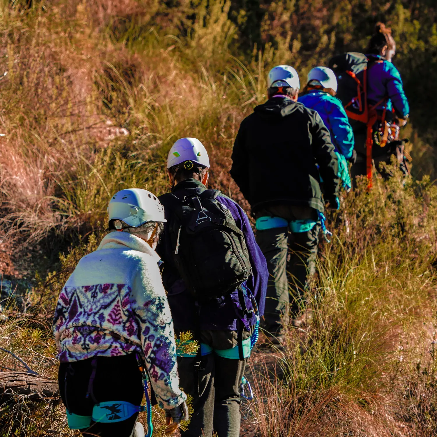 Fotografía de actividad