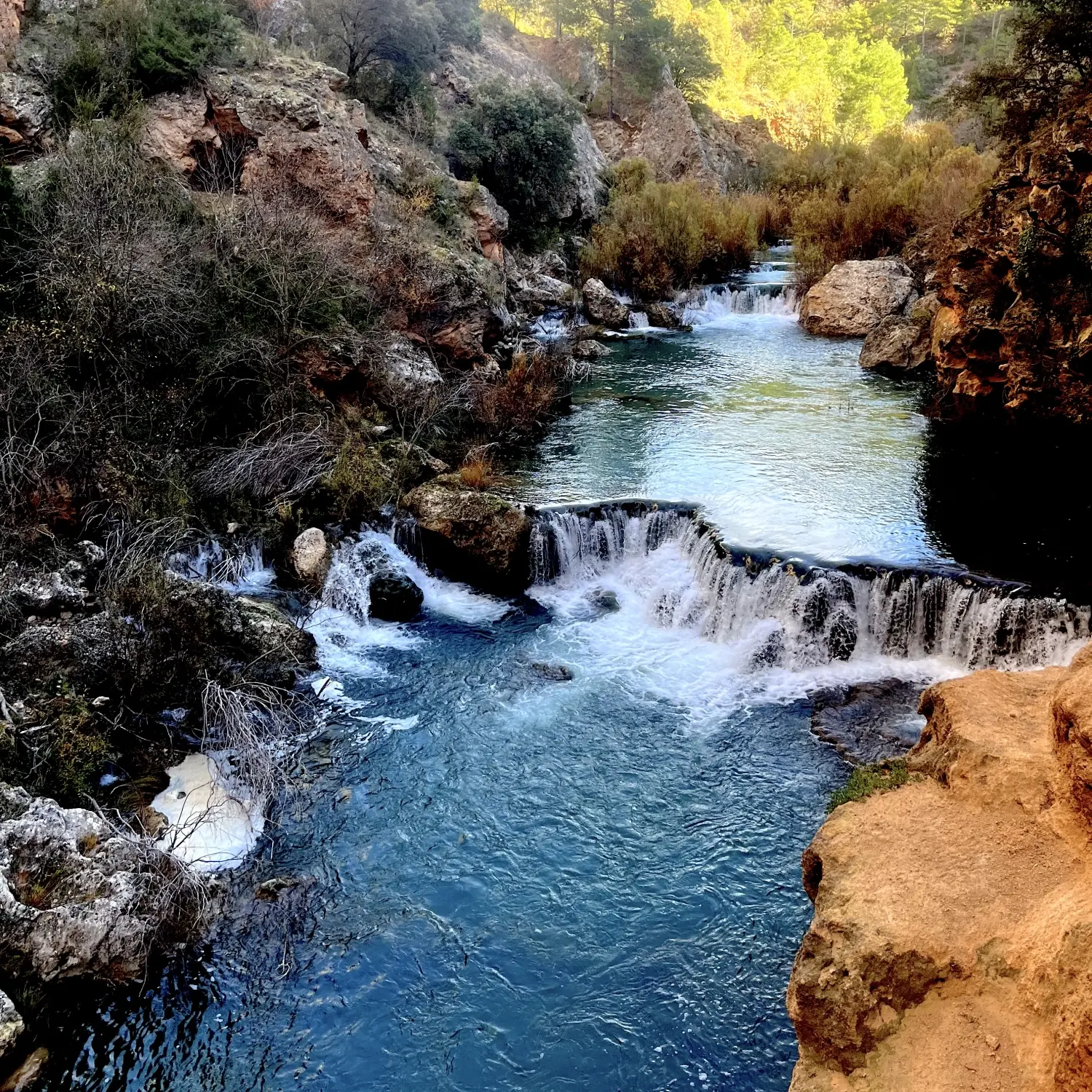 Fotografía de actividad